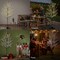 6.5FT LED Lighted Cherry Blossom Tree, 208 LED Warm White to Multicolor, Timer and Dimmer with Remote, Home Garden, Summer, Wedding, Holiday, Party Decoration for Indoor and Outdoor Use